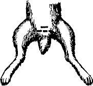 Рис. 2.