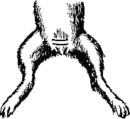 Рис. 2.