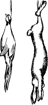 Рис. 4.