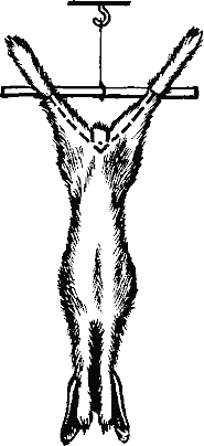 Рис. 6.