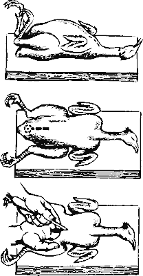 Рис. 8.